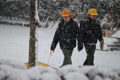 雪の中⑤