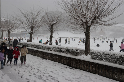 雪合戦④