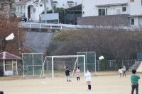 たこ④