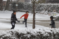雪②