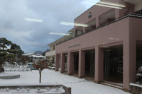雪④