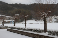 雪③