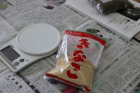 5年生①