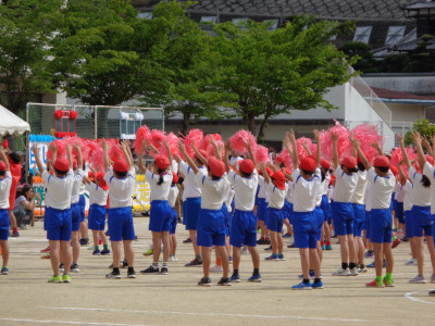 DSC00039