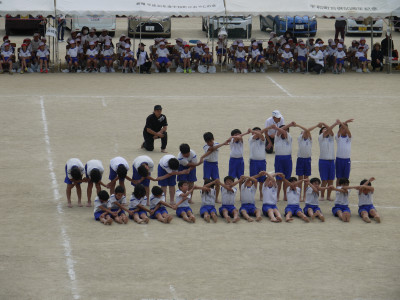 P1100008