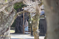 かくれんぼ⑥